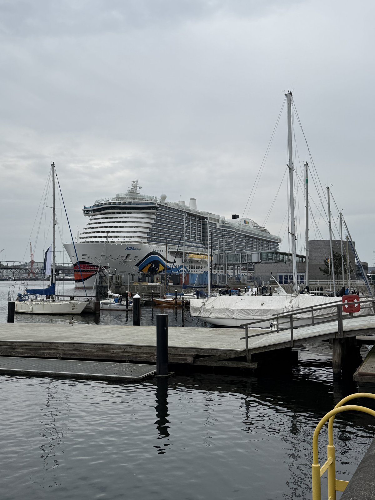 Die AIDA Nova liegt im Hafen Kiel zwischen Segelbooten